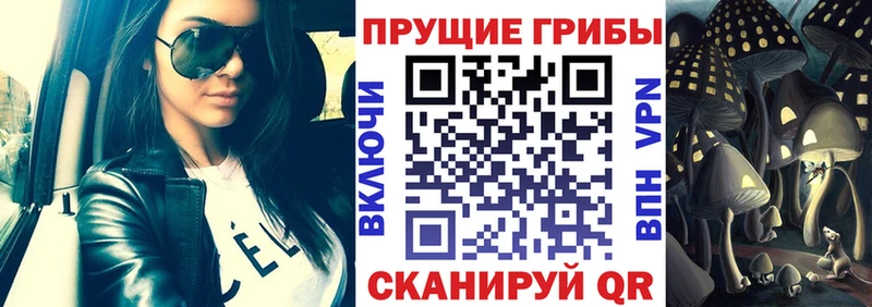 Галлюциногенные грибы прущие грибы  Ивангород 